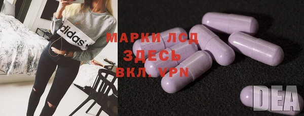 прущие грибы Алзамай